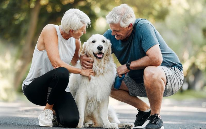 a man and woman petting a dog